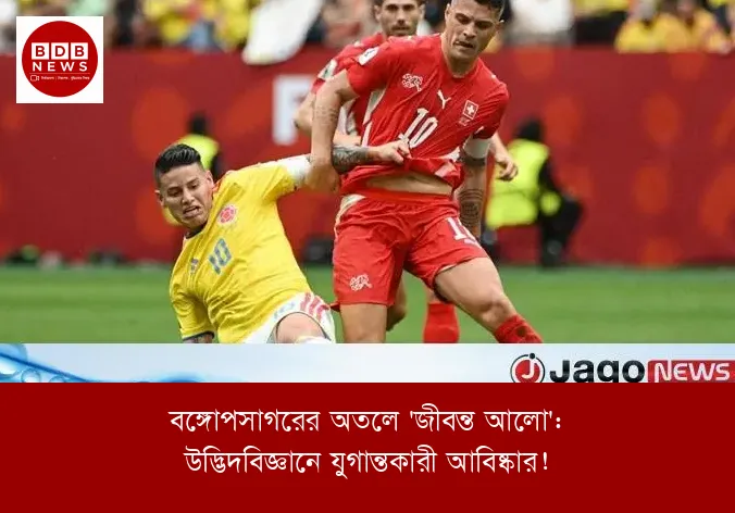 বঙ্গোপসাগরের অতলে 'জীবন্ত আলো': উদ্ভিদবিজ্ঞানে যুগান্তকারী আবিষ্কার!