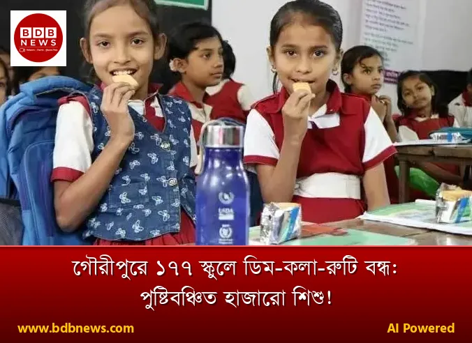 গৌরীপুরে ১৭৭ স্কুলে ডিম-কলা-রুটি বন্ধ: পুষ্টিবঞ্চিত হাজারো শিশু!
