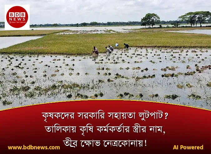 কৃষকদের সরকারি সহায়তা লুটপাট? তালিকায় কৃষি কর্মকর্তার স্ত্রীর নাম, তীব্র ক্ষোভ নেত্রকোনায়!